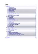 Referāts 'Ģimenes krīzes', 4.