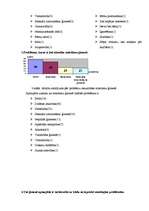 Referāts 'Ģimenes krīzes', 22.