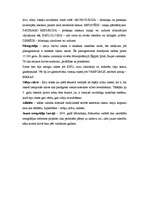 Konspekts 'Valodniecība', 2.