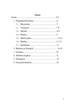 Referāts 'Ventspils', 2.