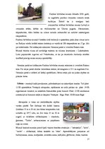 Referāts 'Ventspils', 17.