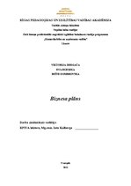 Biznesa plāns 'Biznesa plāns', 1.