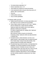 Biznesa plāns 'Biznesa plāns', 8.