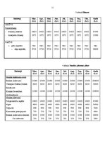 Biznesa plāns 'Biznesa plāns', 11.