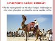 Prezentācija 'Apvienoto Arābu Emirātu ekonomikas attīstība', 7.