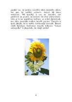 Referāts 'Kristīne Sadovska', 8.