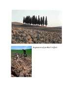 Referāts 'Augsnes erozija', 6.