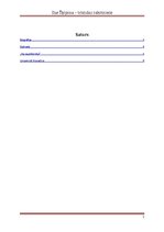 Referāts 'Ilze Šķipsna - trimdas rakstniece', 2.