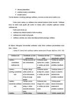 Referāts 'Organizācijas vadība', 15.