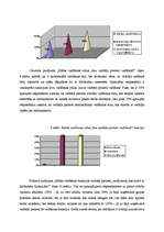 Referāts 'Organizācijas vadība', 29.