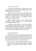 Referāts 'Bīstamo vielu pielietošanas drošība', 2.