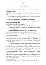 Referāts 'Pilsonības jēdziens', 13.