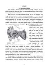 Referāts 'Vājdzirdīgo integrācija dzirdīgo vidē', 4.