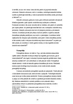 Referāts 'Dzimumu sociālā nevienlīdzība', 24.