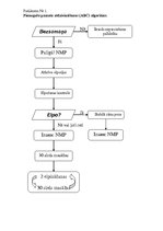 Diplomdarbs 'Sabiedrības zināšanas par pirmās neatliekamās palīdzības sniegšanu ūdenī slīkuša', 43.