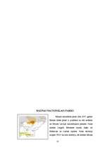 Referāts 'Nacionālie parki', 12.