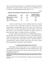 Referāts 'Papildatvaļinājuma piemērošanas un izmantošanas nosacījumi', 13.