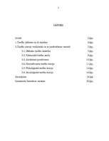 Referāts 'Tiesību izpratne dažādās tiesību teorijās', 2.