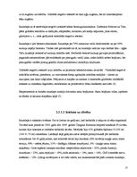 Referāts 'Pesticīdi un to ietekme uz cilvēku un vidi', 13.