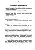 Diplomdarbs 'Uzņēmuma finansiālā stāvokļa analīze', 12.