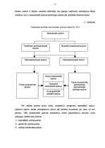 Diplomdarbs 'Uzņēmuma finansiālā stāvokļa analīze', 19.