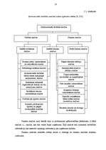 Diplomdarbs 'Uzņēmuma finansiālā stāvokļa analīze', 24.