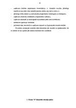 Diplomdarbs 'Uzņēmuma finansiālā stāvokļa analīze', 48.