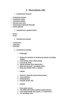 Konspekts 'Literārās valodas stili', 3.