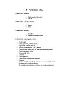 Konspekts 'Literārās valodas stili', 9.