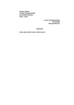 Konspekts 'Literārās valodas stili', 13.