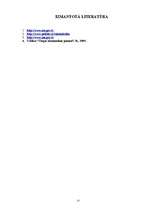 Referāts 'Privatizācijas procesa norise Latvijā', 13.