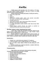 Konspekts 'Kreilība', 1.