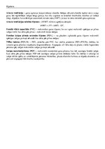 Konspekts 'Anatomija. Elpošana', 2.