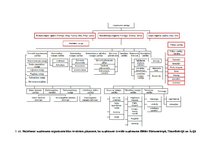Paraugs 'Organizatoriska struktūra', 3.