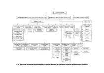 Paraugs 'Organizatoriska struktūra', 4.