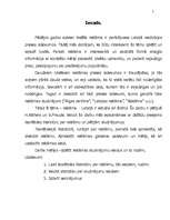 Referāts 'Reklāmu veidi Latvijā', 3.