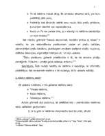 Referāts 'Reklāmu veidi Latvijā', 7.