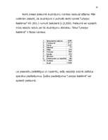 Referāts 'Reklāmu veidi Latvijā', 20.