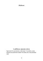 Referāts 'Krāsu terapijas ietekme uz veselību', 29.