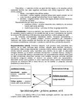 Konspekts 'Krimināltiesības', 13.