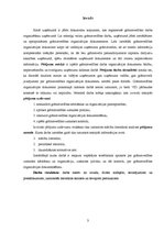 Referāts 'Grāmatvedības organizācijas dokumentācija', 3.