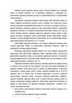 Referāts 'Grāmatvedības organizācijas dokumentācija', 6.