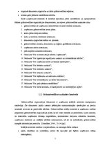 Referāts 'Grāmatvedības organizācijas dokumentācija', 7.