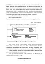 Referāts 'Grāmatvedības organizācijas dokumentācija', 10.