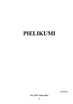 Referāts 'Grāmatvedības organizācijas dokumentācija', 19.