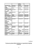 Referāts 'Grāmatvedības organizācijas dokumentācija', 23.