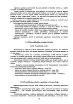 Referāts 'Grāmatvedības organizācijas dokumentācija', 29.