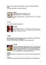 Referāts 'Grūtniecība', 7.