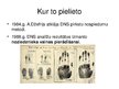 Prezentācija 'Prezentācija par bioloģijas atklājumu - DNS', 6.