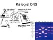 Prezentācija 'Prezentācija par bioloģijas atklājumu - DNS', 7.